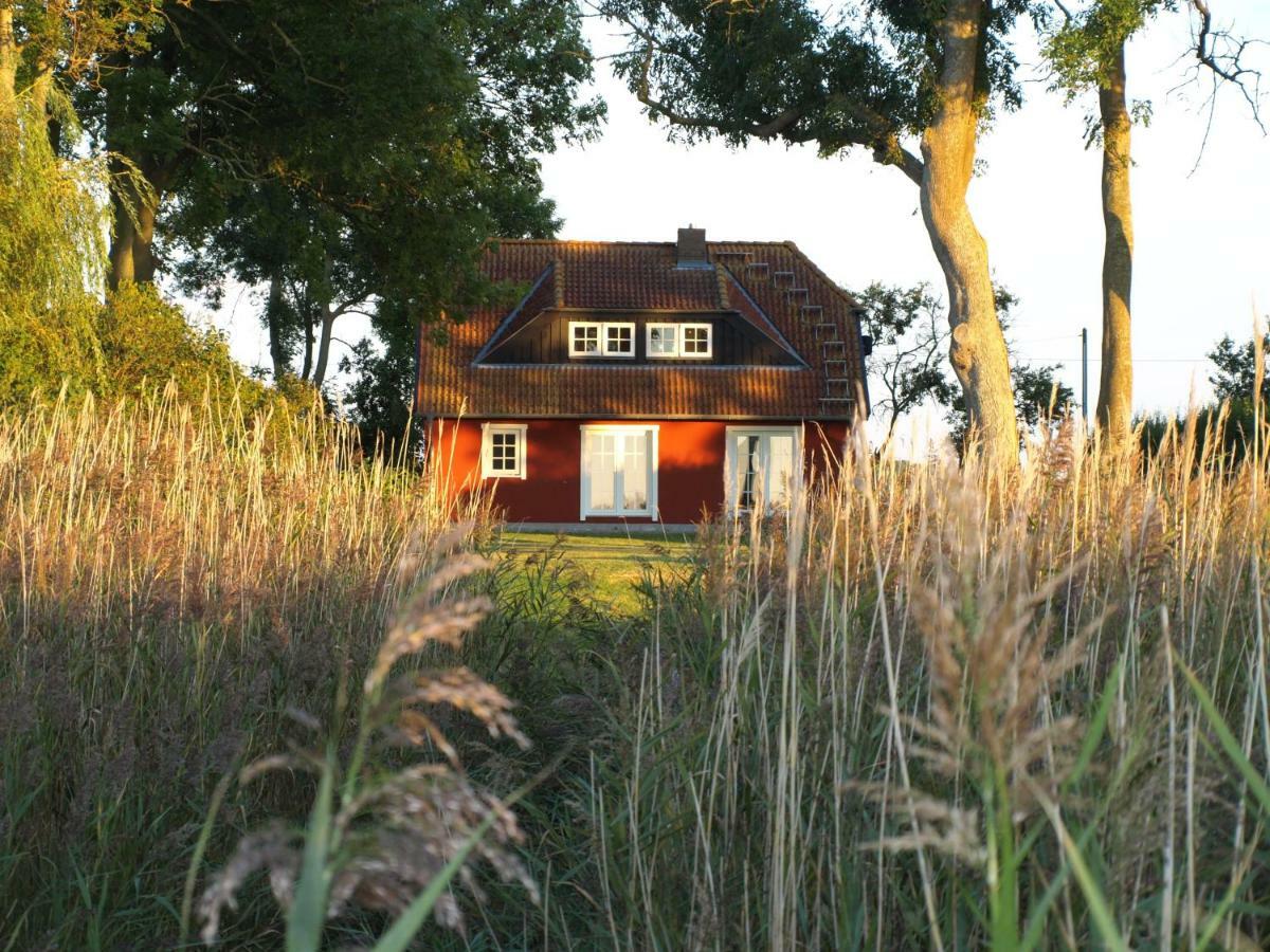 Ferienhaus Kranichblick Kinnbackenhagen エクステリア 写真